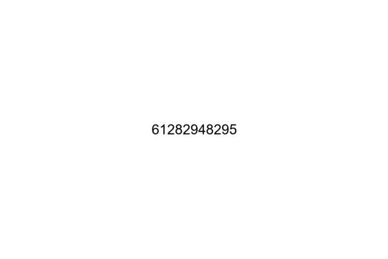 61282948295 1