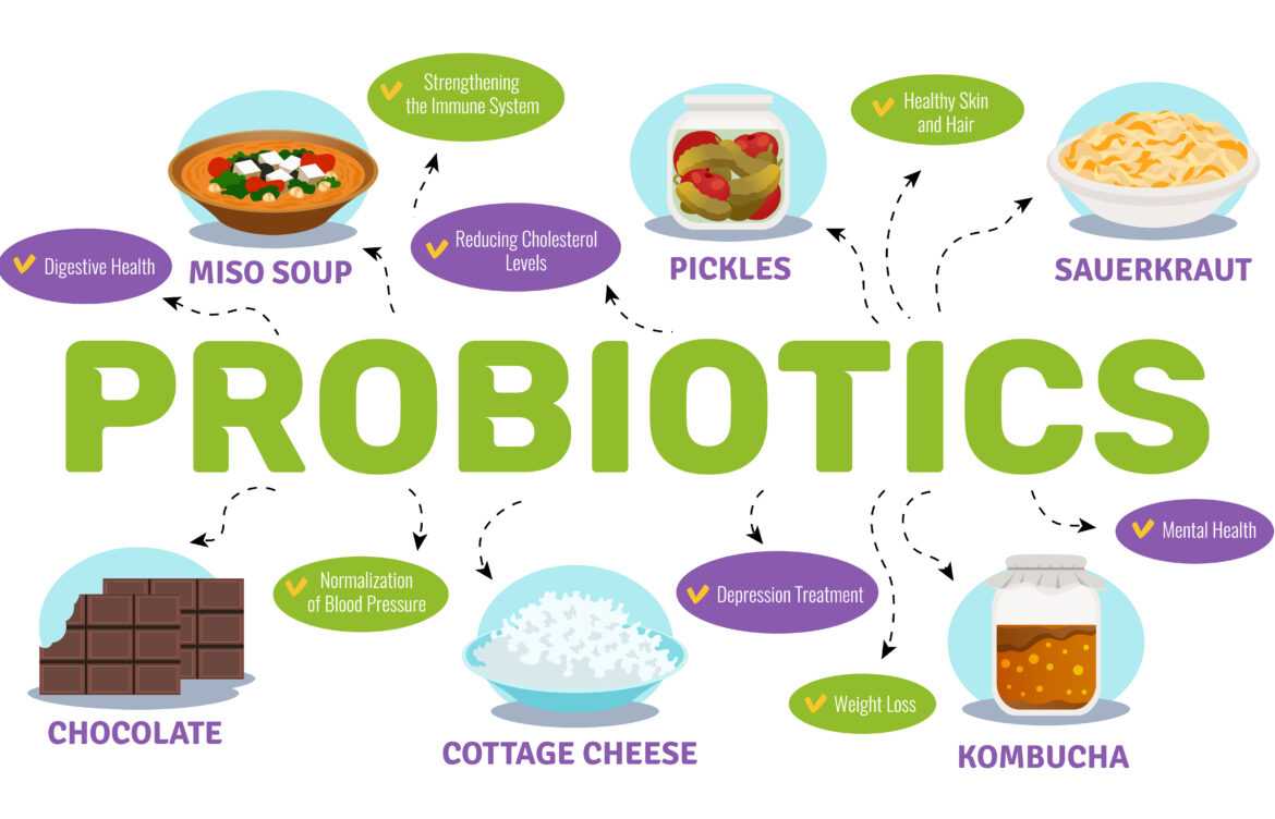 What Is the Difference Between Lactobacillus and Bifidobacterium Probiotics?
