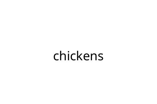 chickens