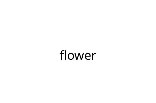 flower