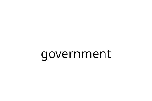 government
