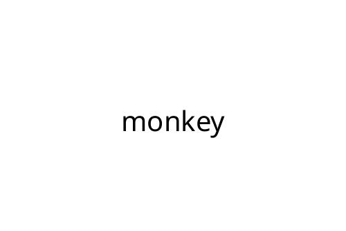 monkey