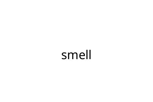 smell