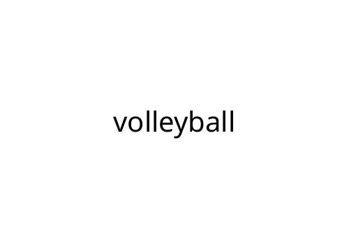 volleyball