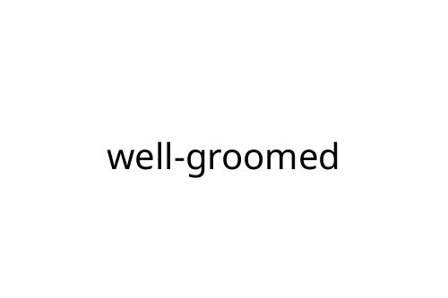 well-groomed