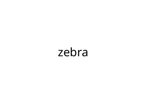 zebra