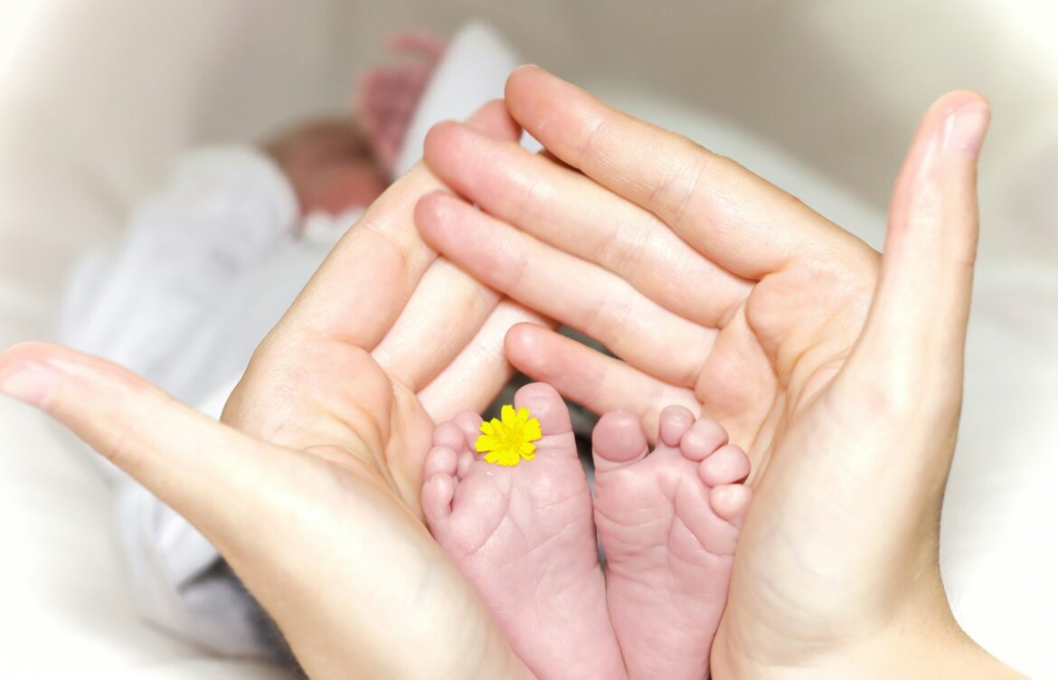 How Holle Formula Delivers Essential Nutrition for Your Growing Baby