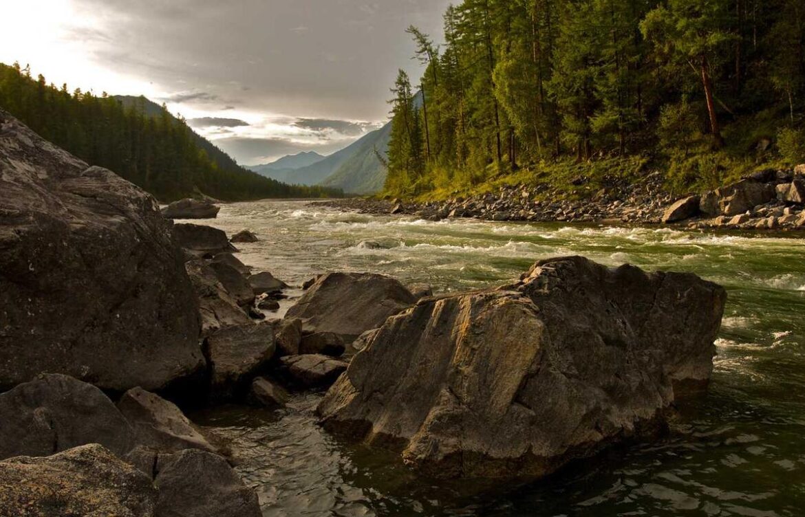 12 hour fasting diet fntkdiet