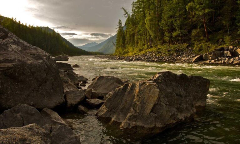 12 hour fasting diet fntkdiet