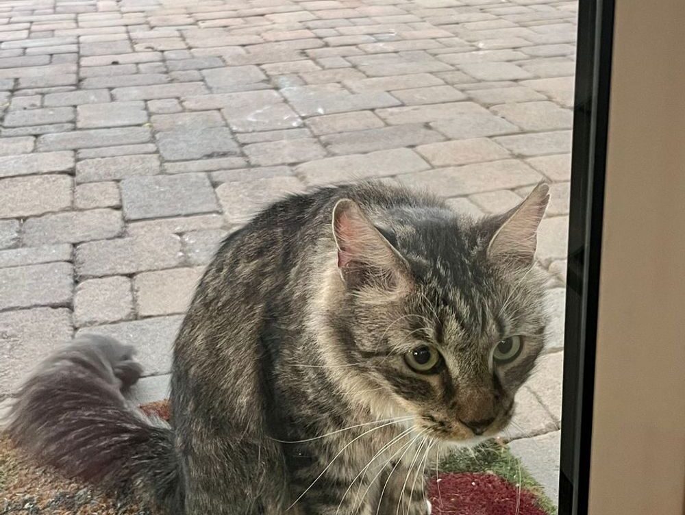 1821 to 1947 50 pesos ring