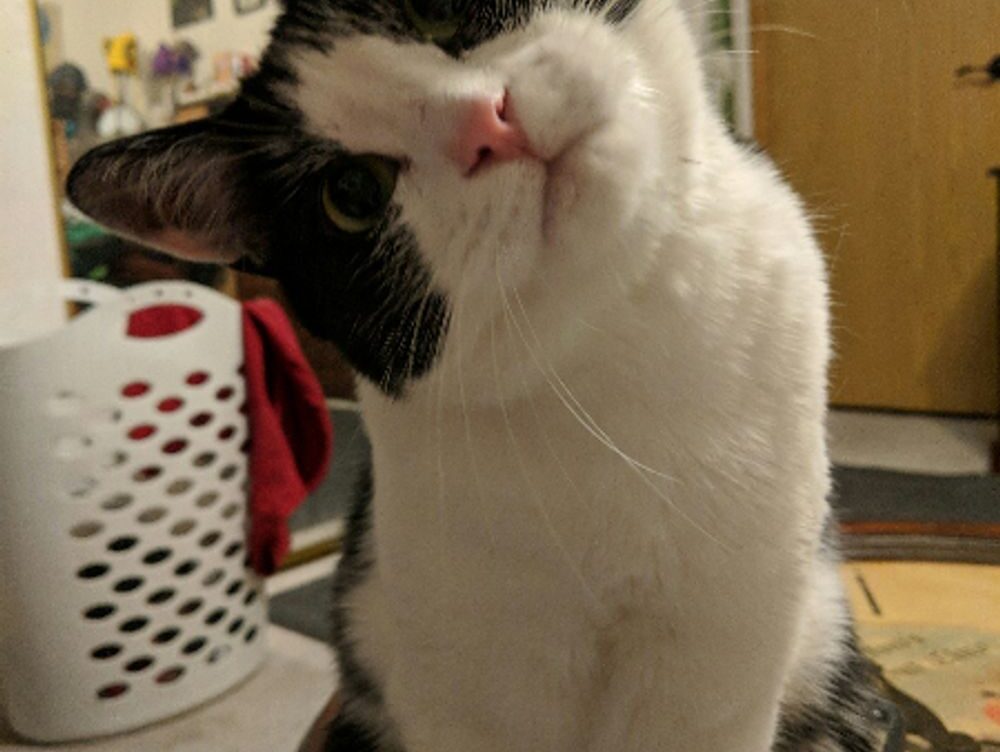 18k gold ring 50 pesos 1821 to 1947 ring 18k