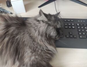 2. which eoc configuration aligns with the on-scene incident organization?