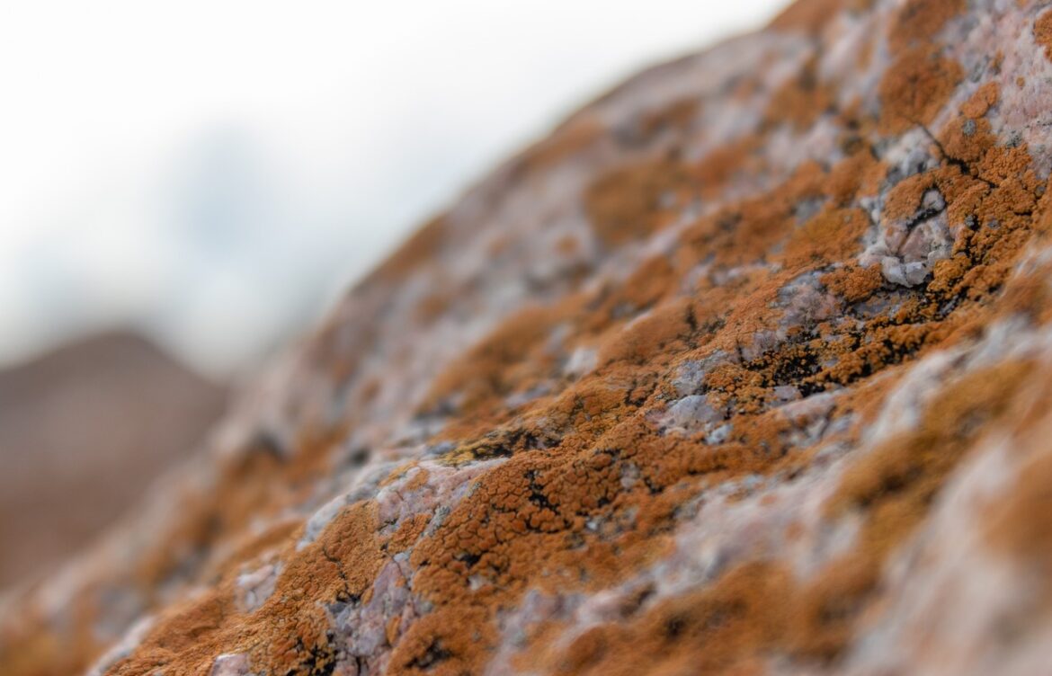 2nd gen tacoma with 3rd gen wheels