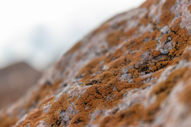 2nd gen tacoma with 3rd gen wheels