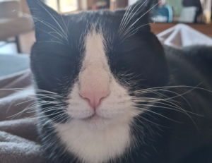 3. which of the following is not a recommended characteristic for incident objectives?