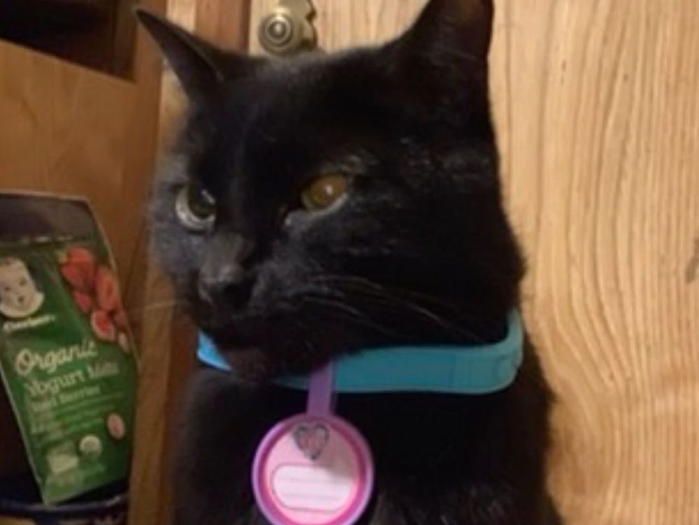 308 negra arroyo lane zip code