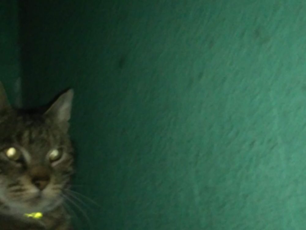 7 on your side md phone number