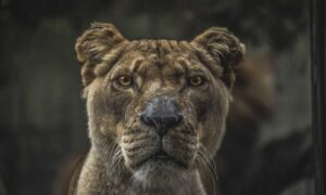 7.how many nickels are there in seventeen dollars?