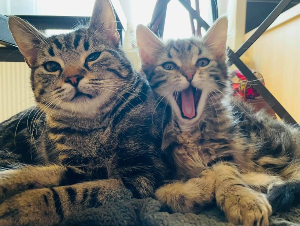 a 60 kg bicyclist going 2 m/s increased his work output by 1,800 j. what was his final velocity? m/s