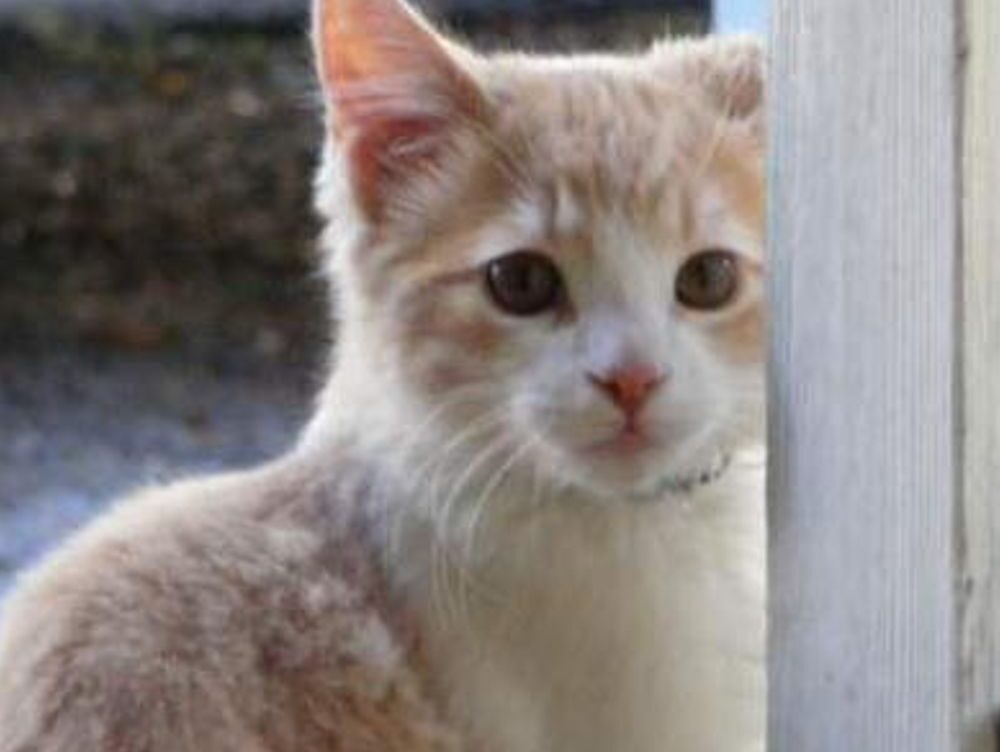 a time to kill book characters