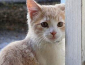 a time to kill book characters