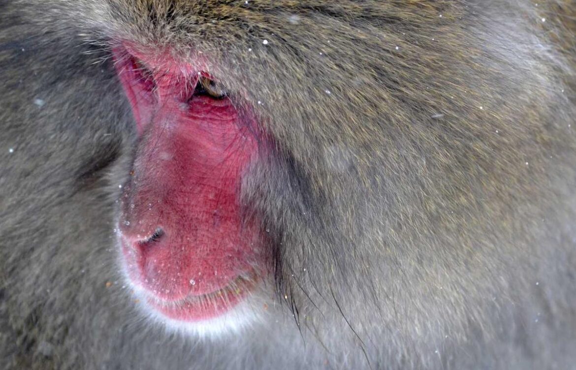 accidentally signed up for tj maxx credit card