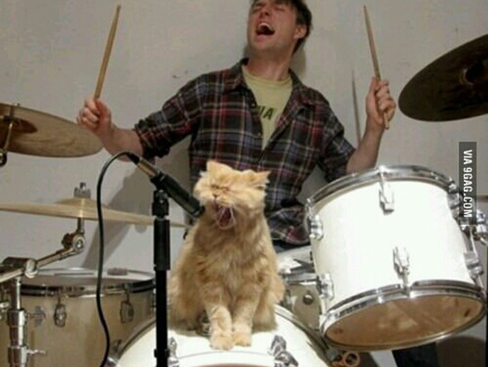 acotar books in order to read