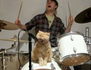 acotar books in order to read