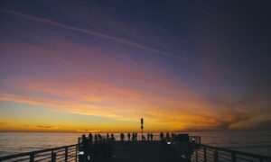 acoustic guitar headstock shapes by brand