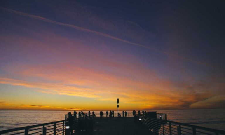 acoustic guitar headstock shapes by brand