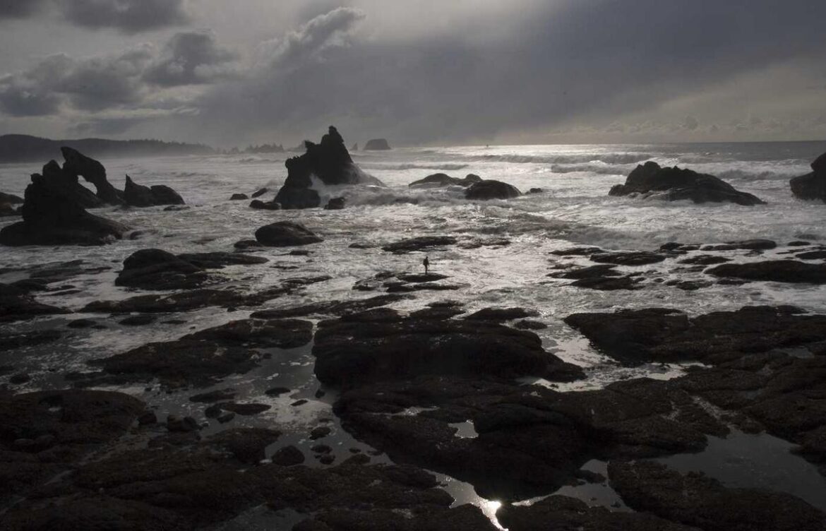 added me back on snapchat but i never added them