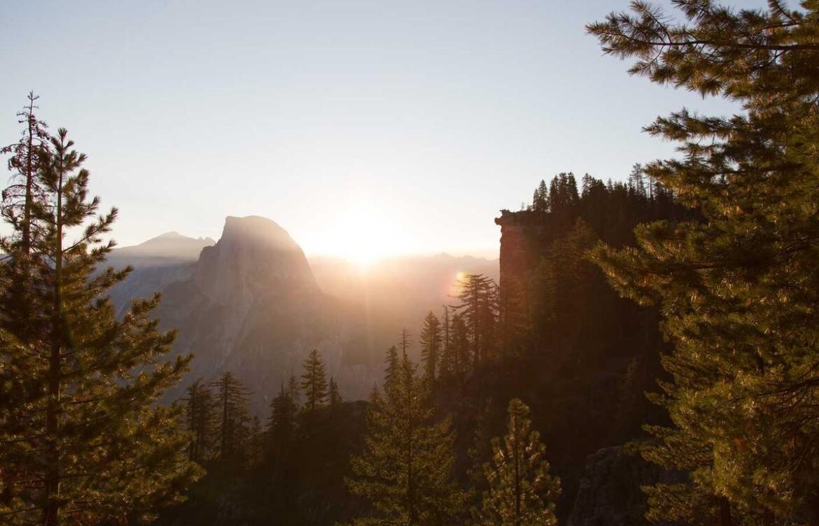 age defying cream for black skin