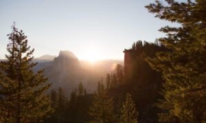 age defying cream for black skin