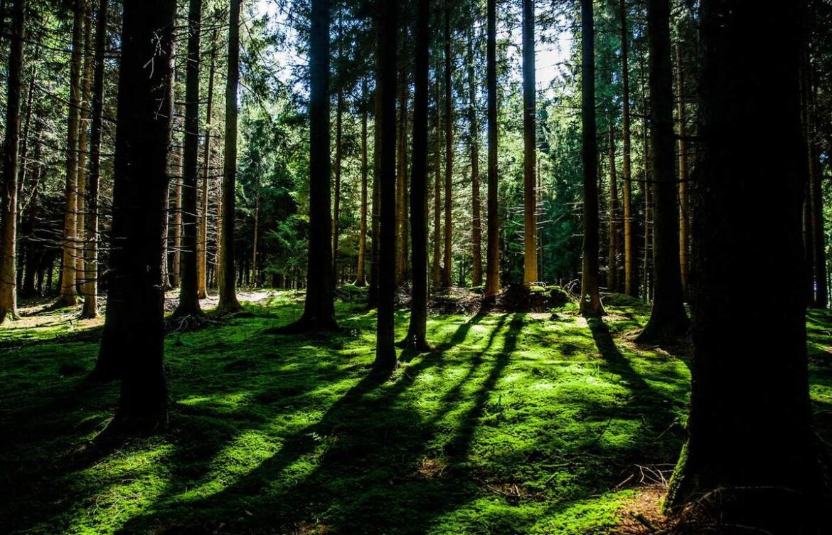 ajax amsterdam vs s.s.c. napoli lineups