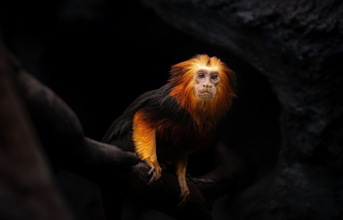 all ad asset values should be unique. please check your values. (#1885681)