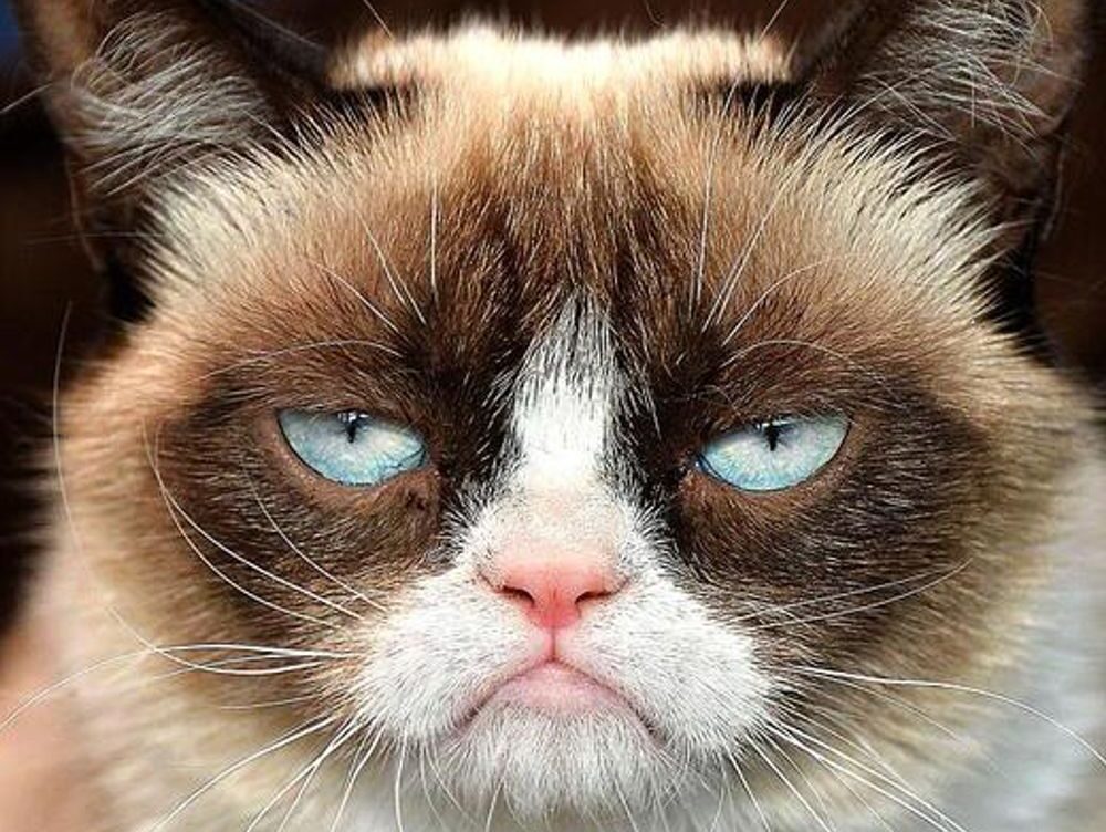 all of percy jackson books in order