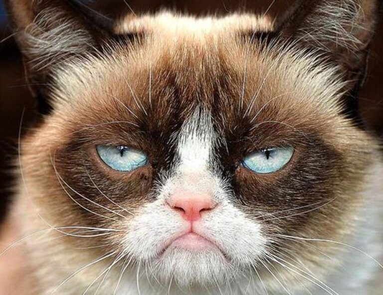 all of percy jackson books in order