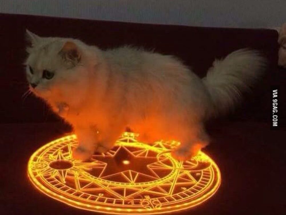 all of the percy jackson books in order