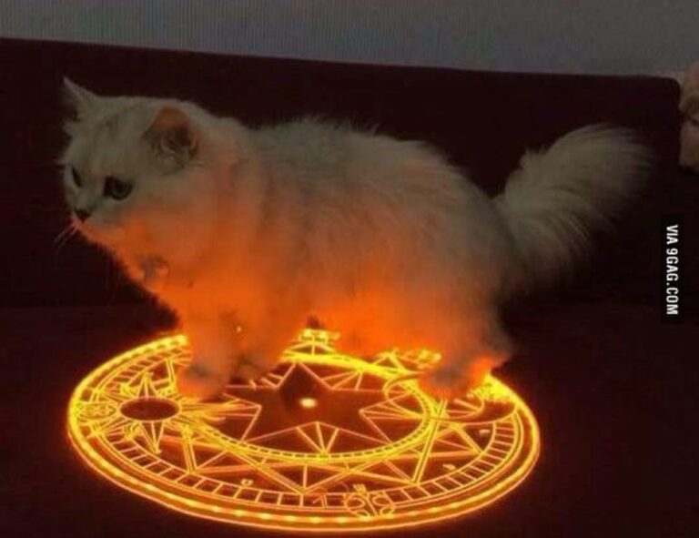 all of the percy jackson books in order