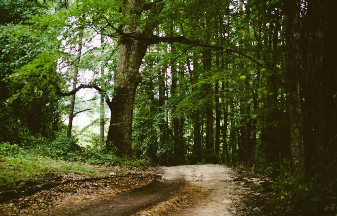 all percy jackson series in order