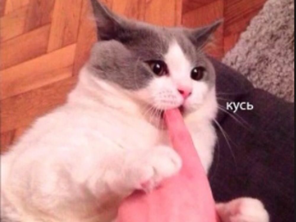 andreas boss has been sexually harassing her at work