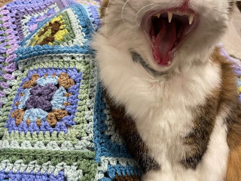 apartment shut off water without notice