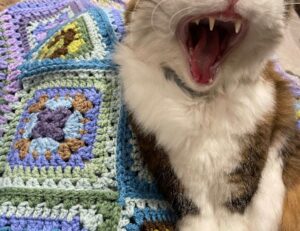 apartment shut off water without notice