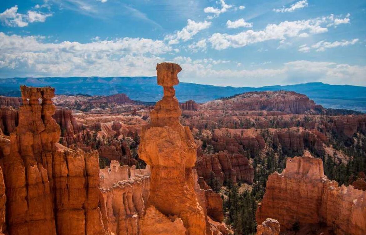 architecting solutions with sap business technology platform epub