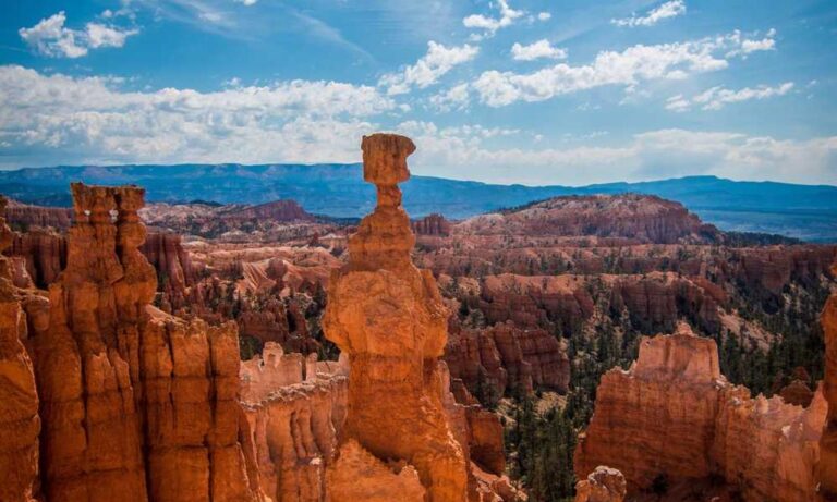 architecting solutions with sap business technology platform epub