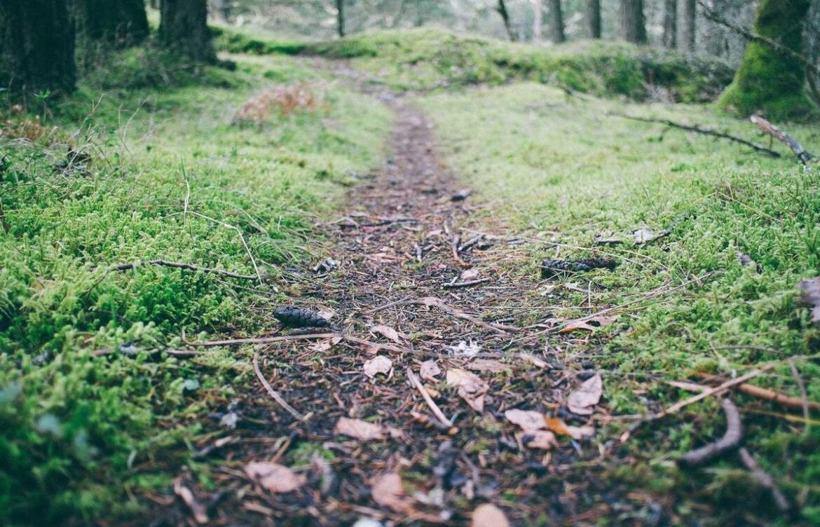 at home dermarolling before and after