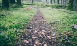 at home dermarolling before and after