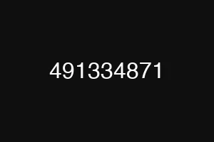 491334871