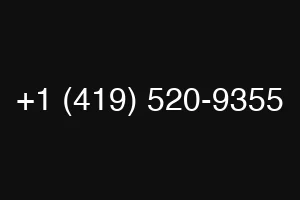 +1 (419) 520-9355