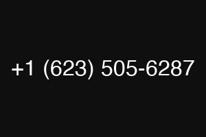 +1 (623) 505-6287